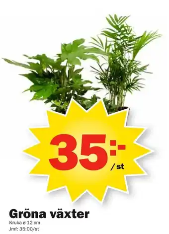Pekås Kruka Gröna växter ø 12cm erbjuda