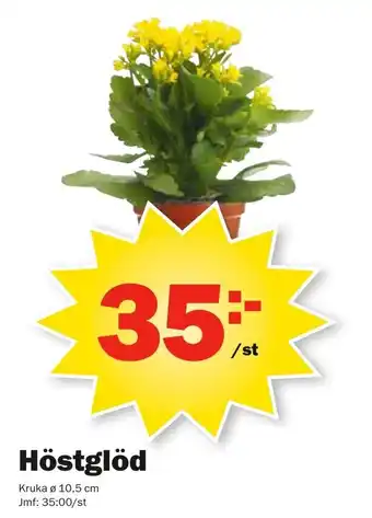 Kruka Höstglöd ø 10,5cm