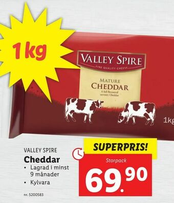 Cheddar