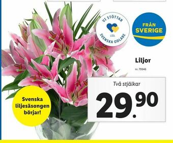 Lidl Liljor erbjuda