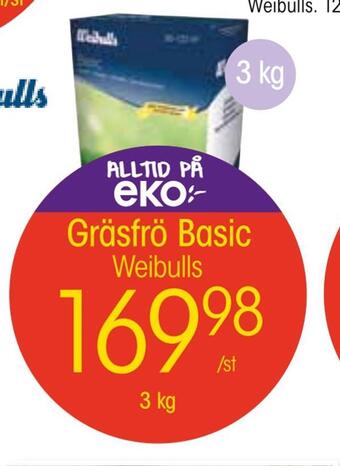 EKO Gräsfrö basic erbjuda