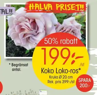 EKO Koko loko-ros erbjuda