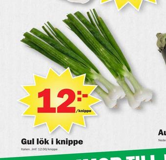 Gul lök i knippe