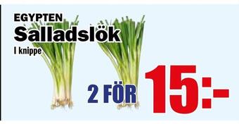 Matdax Salladslök erbjuda