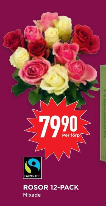 Willys Hemma Rosor 12-pack erbjuda
