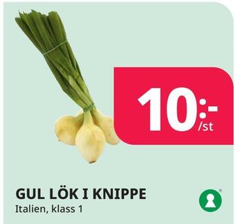 Tempo Gul lök i knippe erbjuda