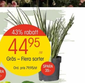 EKO Plantor erbjuda