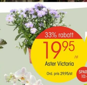 Plantor