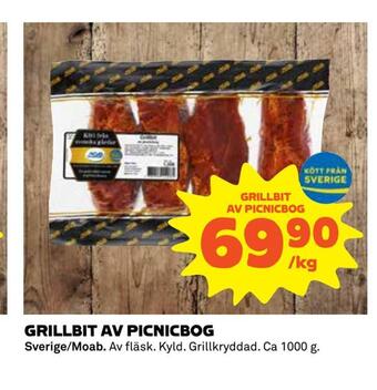 Grillbit av picnicbog