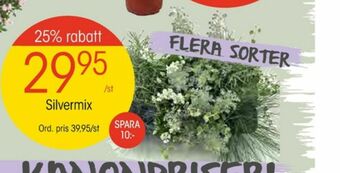 EKO Blommor erbjuda