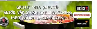 EKO Muurikka Imageannons erbjuda