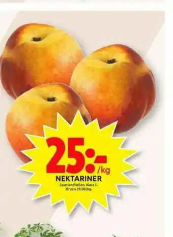 Nektariner