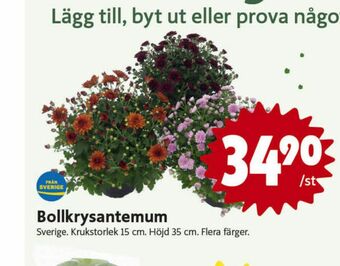 Plantor