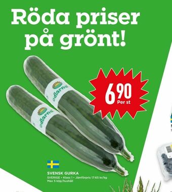 Willys Odlarna.se Gurka erbjuda
