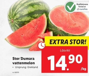 Lidl Stor Dumara vattenmelon erbjuda
