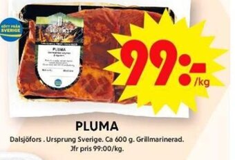 ICA Maxi PLUMA erbjuda