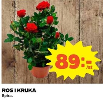 Coop ROSI KRUKA erbjuda