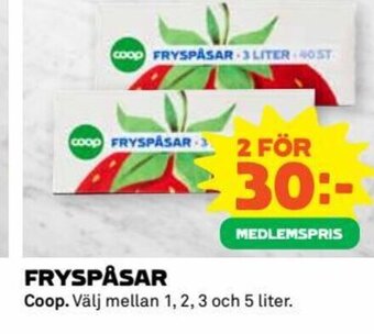 FRYSPÅSAR