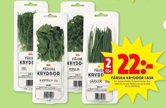 ICA Kvantum FÄRSKA KRYDDOR I ASK erbjuda