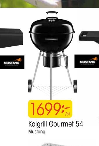 EKO Kolgrill gourmet 54 erbjuda