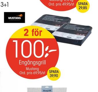 EKO Engångsgrill erbjuda