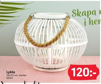 DollarStore Lykta erbjuda