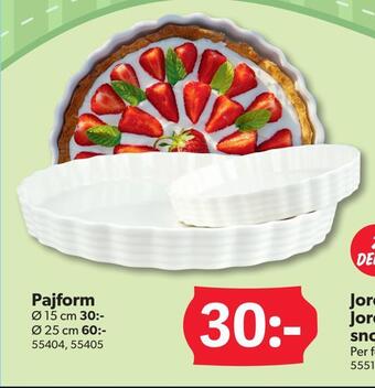 DollarStore Pajform erbjuda