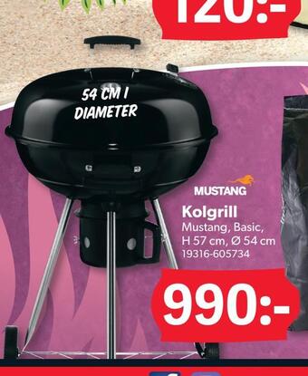 DollarStore Kolgrill erbjuda