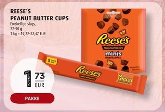 Scandinavian Park Reese's peanut butter cups erbjuda