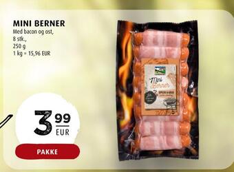 Scandinavian Park Mini berner erbjuda