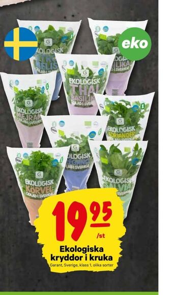 City Gross Garant kryddörter erbjuda