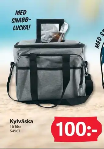 DollarStore Coca cola kylväska erbjuda