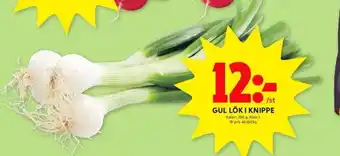 X-tra allt lök