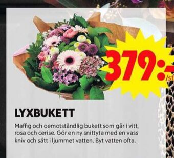 ICA Maxi Blomsterboda blommor erbjuda