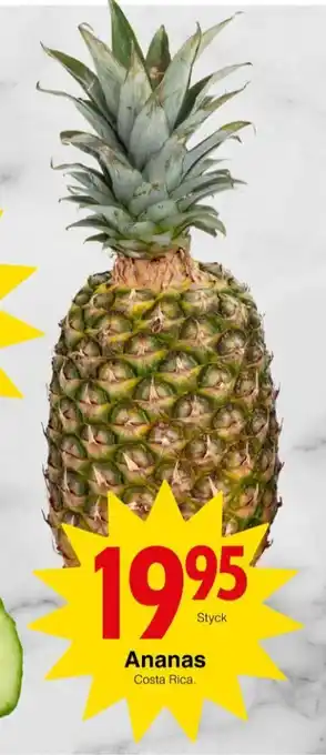 Matöppet Mellanrost ananas erbjuda