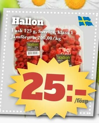 Bonum Matmarknad Hallon erbjuda