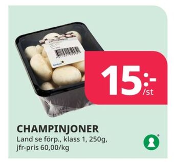 Tempo Fixa champinjoner erbjuda