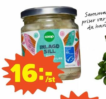Coop Inlagd sill erbjuda