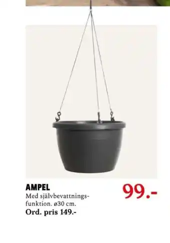 Blomsterlandet amplar