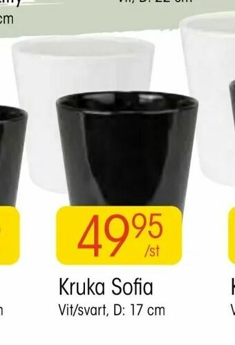 EKO Kruka Sofia erbjuda