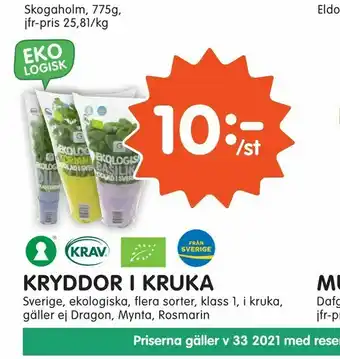 Tempo Kryddor i kruka erbjuda