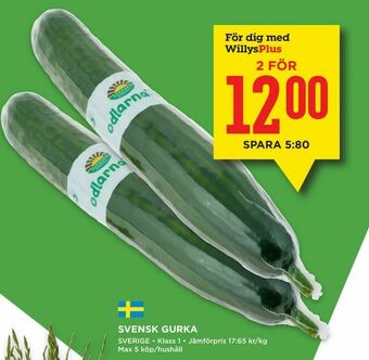 Willys Svensk gurka erbjuda
