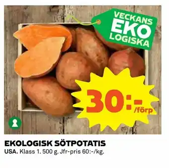 Ekologisk sötpotatis