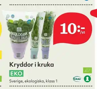 Hemköp Kryddor i kruka erbjuda