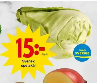 Matöppet Svensk spetskål erbjuda