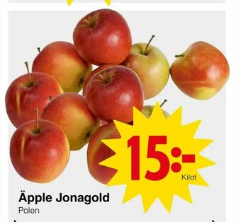 Matöppet Äpple Jonagold erbjuda