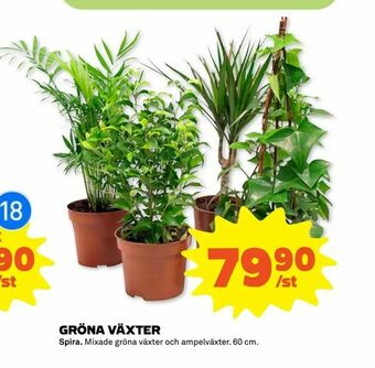 Stora Coop Gröna växter erbjuda