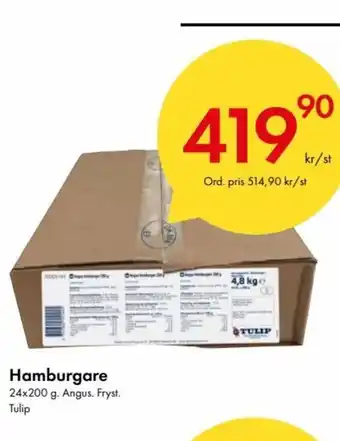 Snabbgross TULIP Hamburgare erbjuda