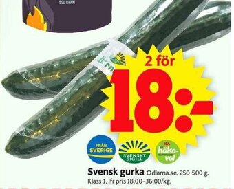 ICA Supermarket Svensk gurka erbjuda