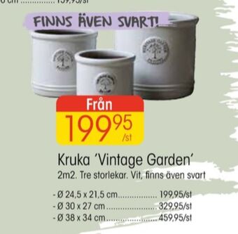 EKO Golden grape krukor erbjuda